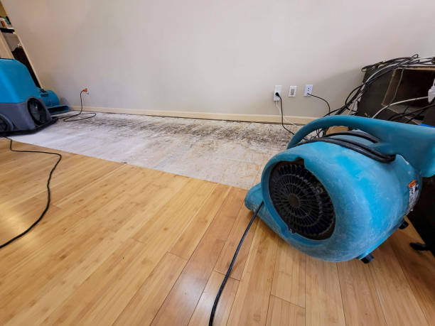 Professional Basement Flood Cleanup technician working in Rochester, WA